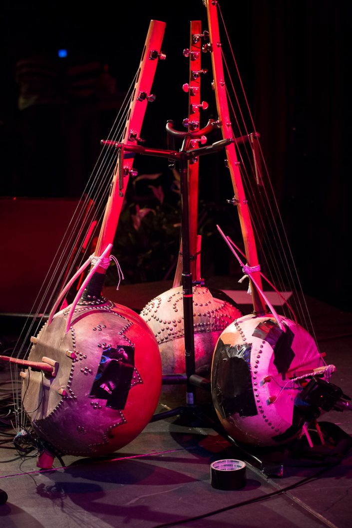 ngoni - Concert Pédro Kouyaté - MJC Savigny sur Orge - 2013