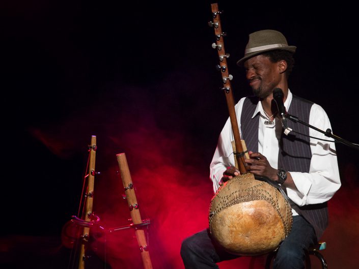 Spectacles Concerts Musique du Monde