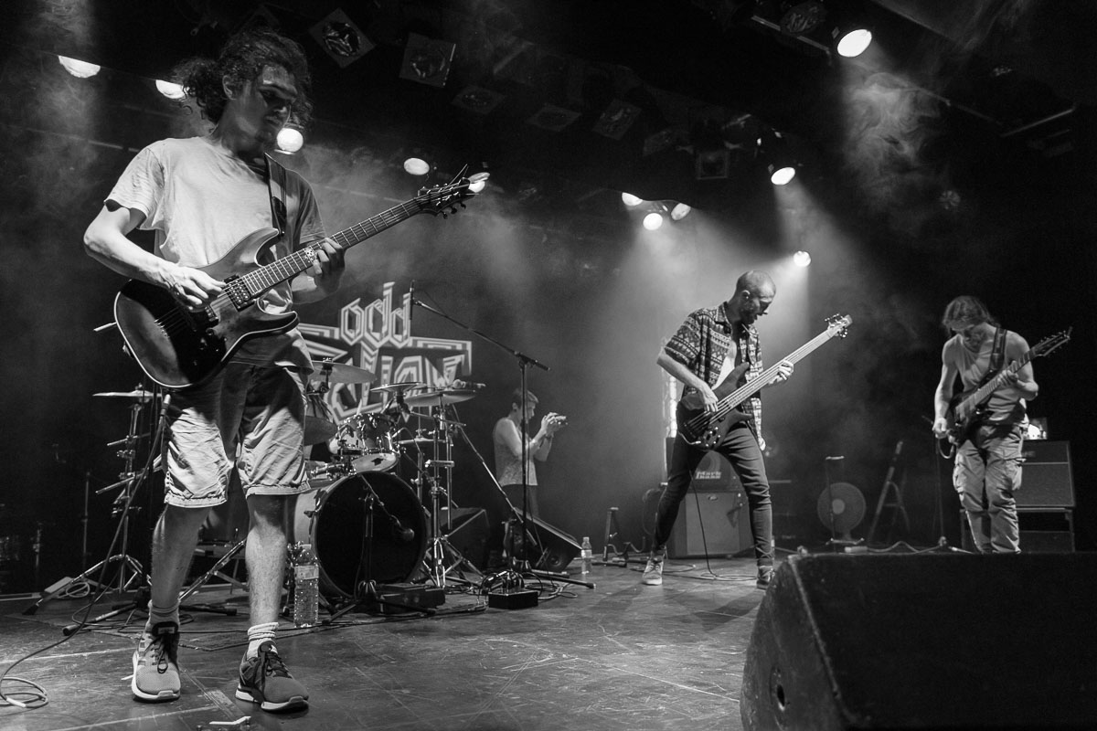 Concert Biskornight